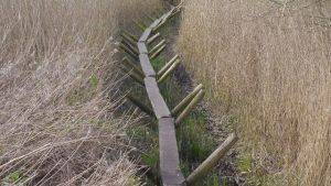 Replica of Neolithic "Sweet Track"
