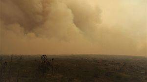Caithness Wildfire, 2019 © Paul Turner