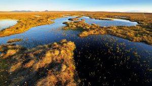 Peatland with mountains on the background