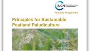 Principles for Sustainable Peatland Paludiculture document front cover