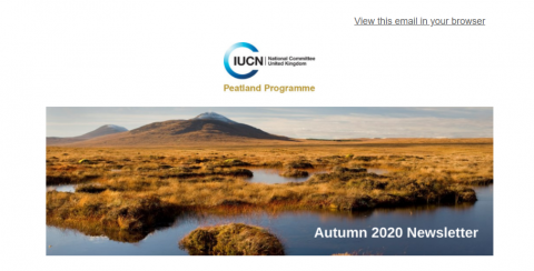 IUCN UK Peatland Programme Newsletter: Autumn Edition 2020