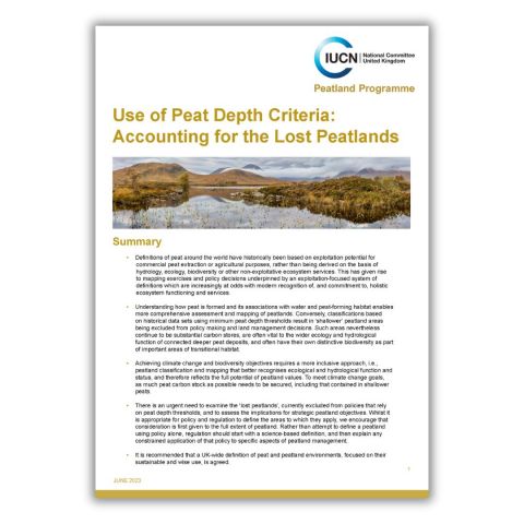 Use of Peat Depth Criteria: Accounting for the Lost Peatlands
