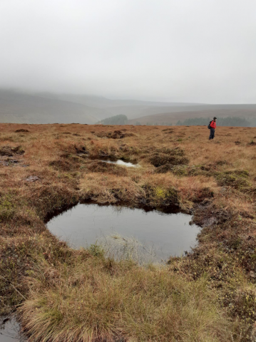 Peat dams