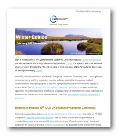 February newsletter: winter edition