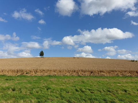 Nitrogen Futures landscape photo