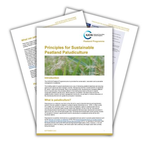 Principles for Sustainable Peatland Paludiculture document 3 page preview