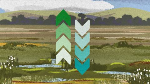 Screenshot of dual-language peatland videos for public engagement