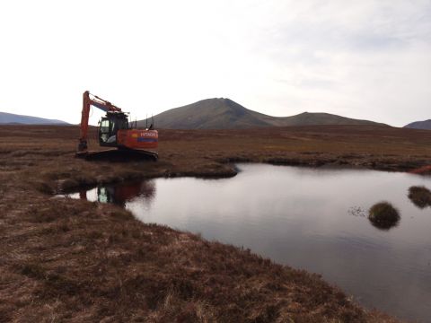 Abernethy digger