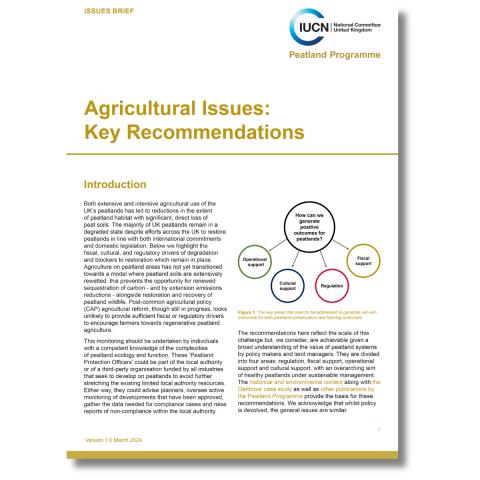Agriculture issues brief: key recommendations