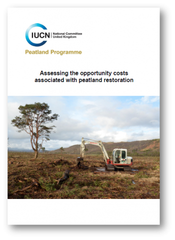 Briefing: Assessing opportunity costs of peatland restoration