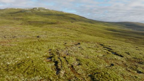 The Peatland ACTION Project Development Support Scheme aims to help increase the pace and scale of peatland restoration in Scotland (c) Swift Films/NatureScot 
