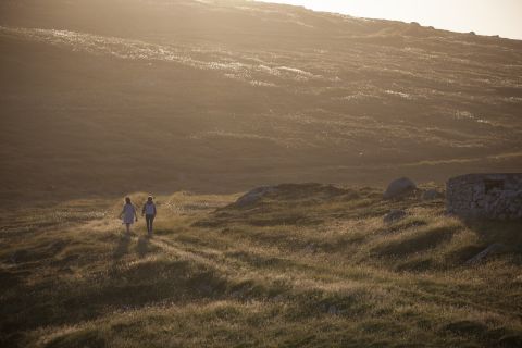 Bog Cotton landscape © Stephen Price