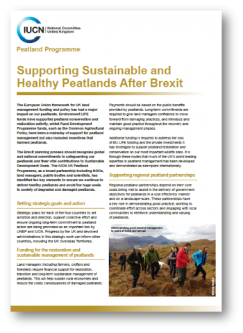 Supporting sustainable & healthy peatlands after Brexit briefing