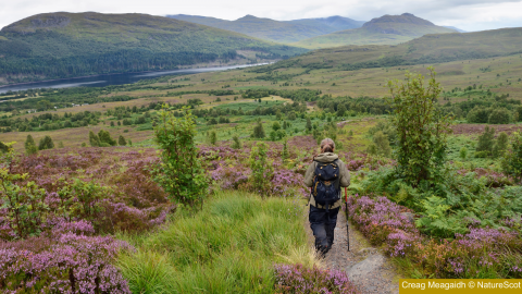 Creag Meagaidth