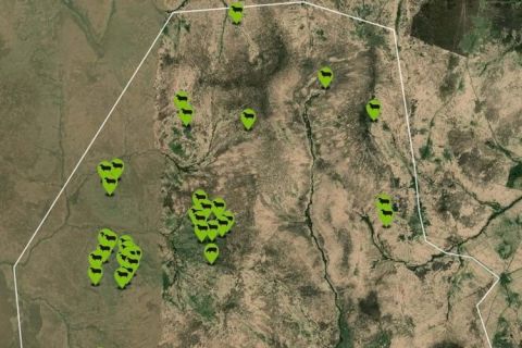 Data from Digitanimal collars showing sheep in designated areas.