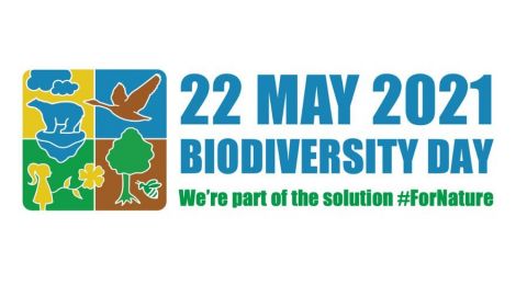 Biodiversity Day 2021