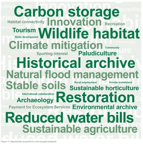 Peatland pressures