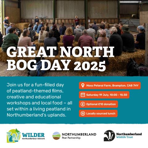 Flyer for Great North Bog Day 19th July