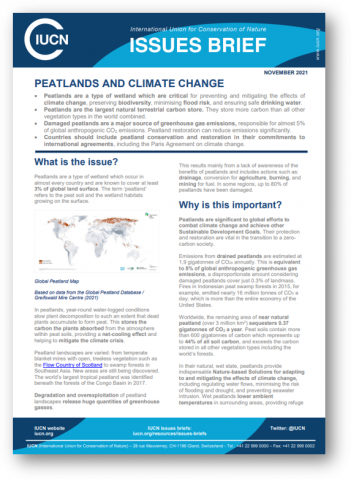 IUCN Climate change & peatlands briefing