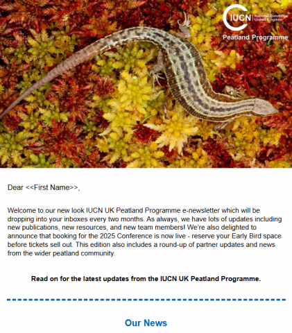 July 2025 Newsletter