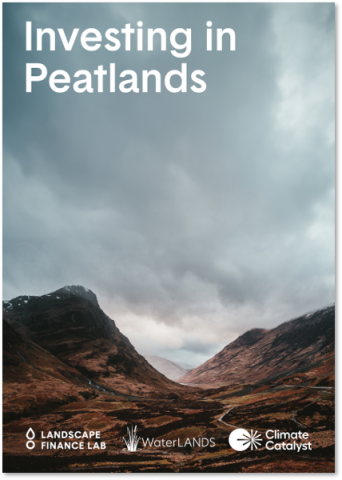 Investing in Peatlands front cover