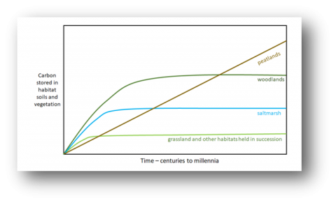 Carbon Storage and Sequestration by Habitat 2021 (NERR094), Fig. 1.2