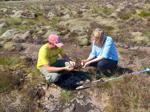 NPAP addresses the six priority actions of: erosion and drainage, sustainable management of upland and lowland peat, afforested peatland restoration, and starting to restore the highest carbon-emitting peatlands