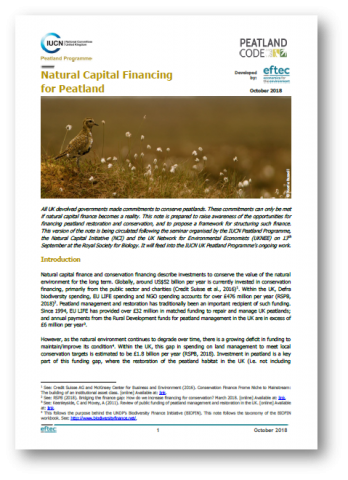 Briefing: Natural Capital financing & peatlands