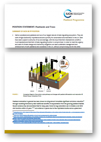 IUCN UK Peatland Programme Peatlands and trees position statement, 2020. 