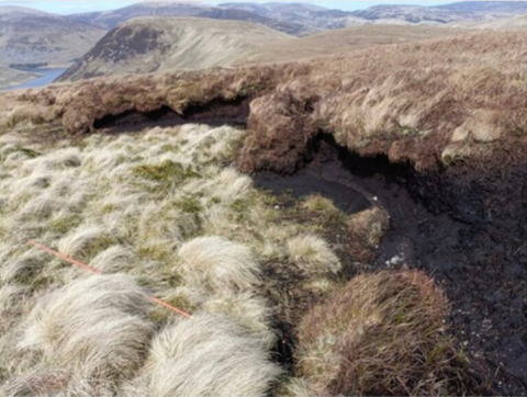 Wemyss and March Estate Peat Hag (C) Tweed Forum