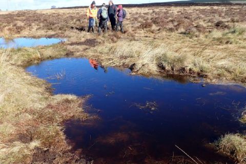 Staff from RSPB, Scottish Water and the contractor, McGowan Ltd	             			     		  Members of the Ugie Peatland Partnership (UPP) were delighted to see the recent completion of peat bog restoration works on Moss of Kinmundy.  The restoration work, funded by Scottish Natural Heritage’s Peatland ACTION fund, should provide multiple benefits, including: increased carbon storage; improved water quality; and better wetland habitats for wildlife.  RSPB Scotland oversaw the project management, on behalf of the landowner, from an initial feasibility study through to completion of the project.  Hywel Maggs, from RSPB Scotland said: “It’s great to see Moss of Kinmundy on the road to recovery through restoration. I’m sure in time this will provide a significant carbon store, whilst creating homes for wildlife.  “Hopefully this is the beginning of a landscape-scale approach to tackling the issues caused by degraded peatlands in the River Ugie catchment.”  Moss of Kinmundy covers approximately 50 ha, and is situated in the River Ugie catchment, just over 5.5 km south-west of Peterhead.  The bog was targeted for restoration due to the combined impacts of drainage, forestry and historic peat extraction, which all contribute to the drying of the carbon-rich peat soil.  The drying of the soil leads to the release of greenhouse gases into the atmosphere, and erosion of the peat soil into watercourses.  The organic material and discoloured water reaching the Drinking Water Protected Areas downstream from drained bogs is a major concern for Scottish Water.  The restoration works focused on increasing the amount of water held on the bog. The impacts of the ditch-blocking are already clear to see, with water being spread away from ditches.  Peatland ACTION Project Officer, Russell Hooper, said: “Since 2012, Peatland Action has supported the restoration of 15,000 ha across Scotland, and it’s great to see some of that investment in the North-east, where we have numerous lo