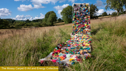 Mossy carpet (c) Art and Energy Collective