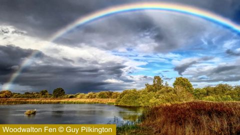 Woodwalton Fen (C) Guy Pilkington