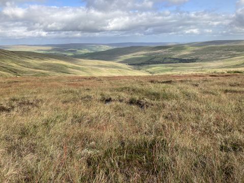 Swinhope Moor blanket bog. Credit Emma Taylor