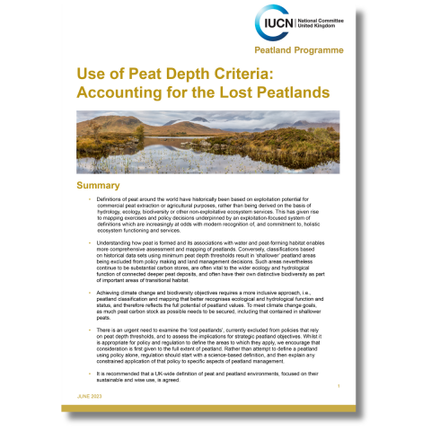 Use of peat depth criteria briefing