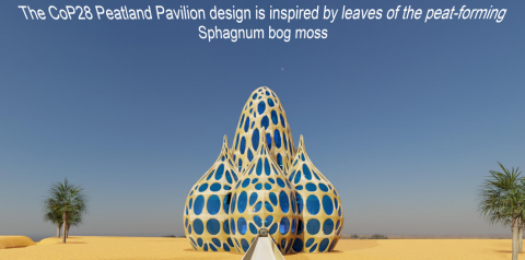 Screenshot of Virtual Peatland Pavilion