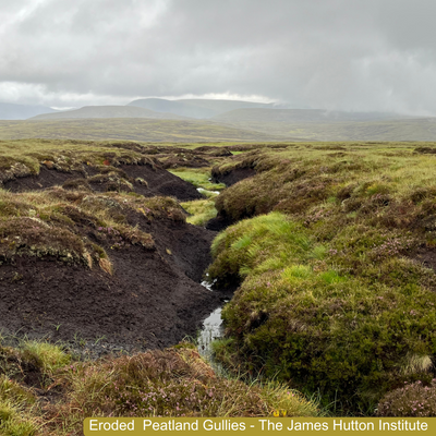 Peatland Eroded Gullies Image