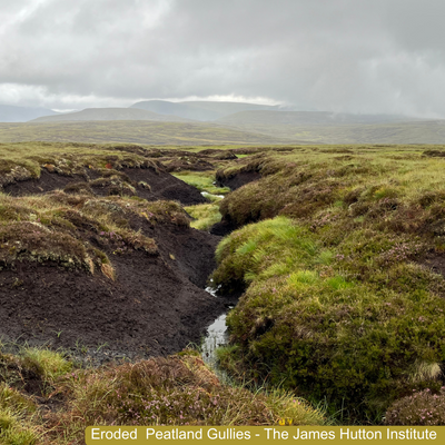 Peatland Eroded Gullies Image 