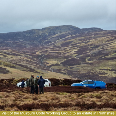 Group of people stood in an open peatland landscape