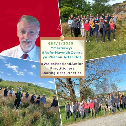 Screenshot from a video from a National Peatland Action Programme event in May 2025.