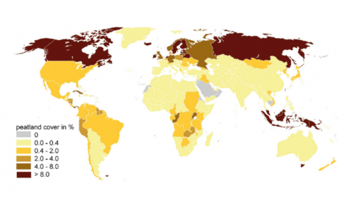 Distribution of peatland across the world