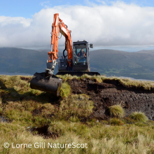 Lorne Gill NatureScot