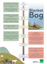 Blanket bog - Wessex Archaeology and Natural England