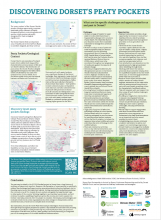 Discovering Dorset's peaty pockets - Dorset Peat Partnership