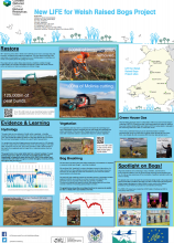 New LIFE for Welsh raised bogs project - Natural Resources Wales