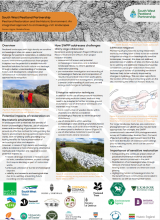 Peatland restoration and the historic environment - South West Peatland Partnership