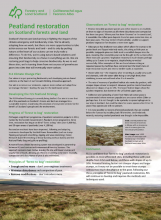 Peatland restoration on Scotland's forests and land - Forestry and Land Scotland