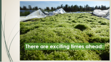 Sphagnum farming presentation, Jack Clough