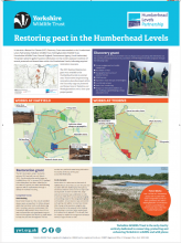 Restoring peat in the Humberhead Levels - Yorkshire Wildlife Trust