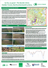 So far, so good - the Border Mires - Forestry England